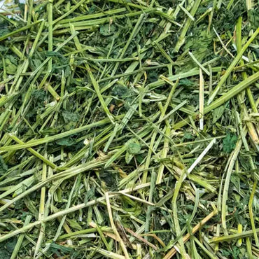 INR'S फार्म फ्रेश प्रीमियम अल्फा अल्फा घास (ल्यूसर्न चारा संयंत्र)