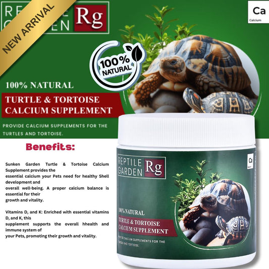 Turtle & Tortoise Calcium Supplement – Essential for Reptile Health