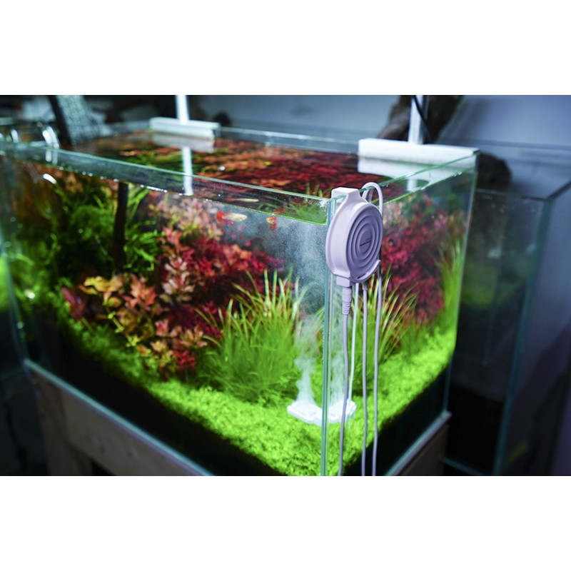 Chihiros Doctor Algae Control — Aquarium Algae Remover & Treatment