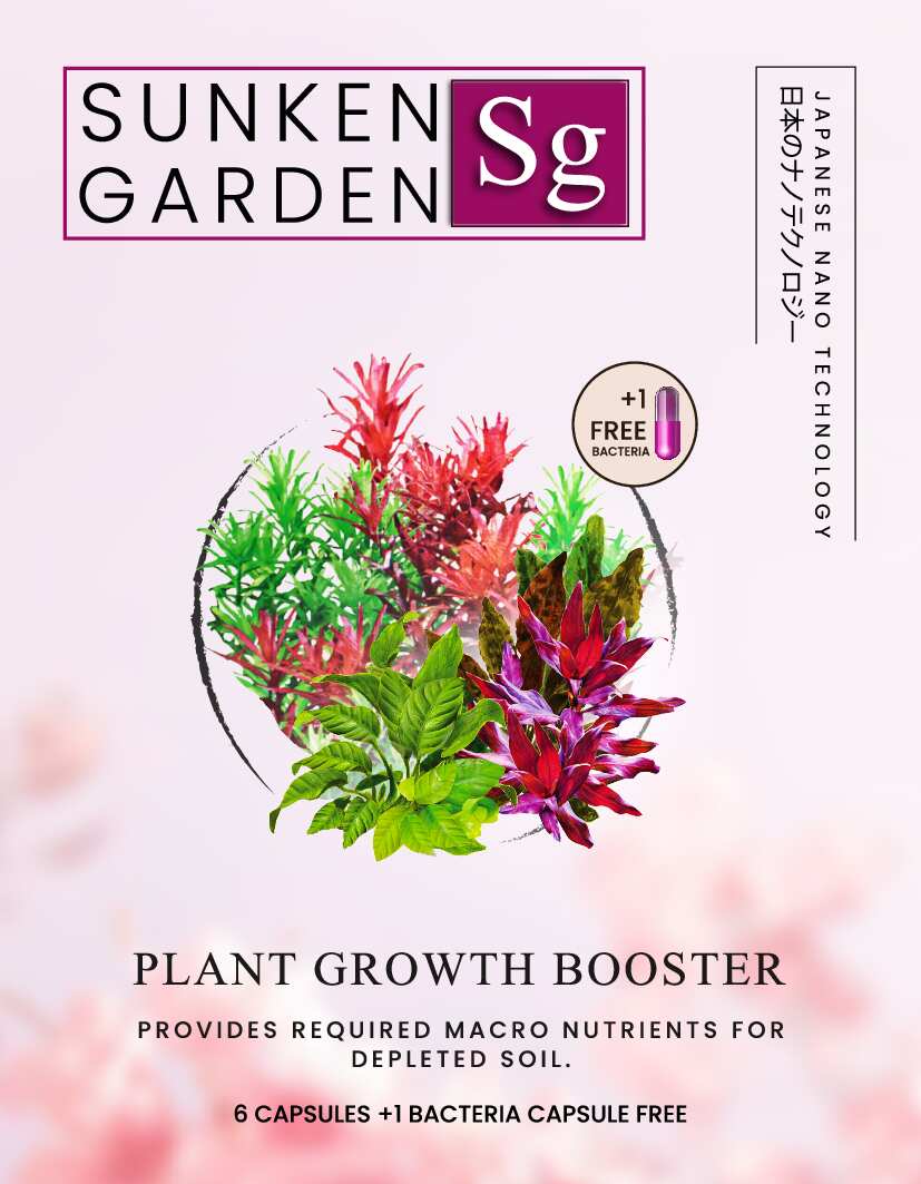 Sunken Garden Root Tabs (6+1) – Aquarium Soil Enhancer