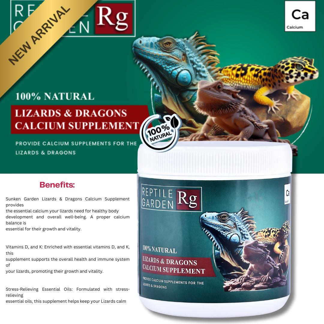 Lizards & Dragons Calcium Supplement – Essential for Reptile Health ...