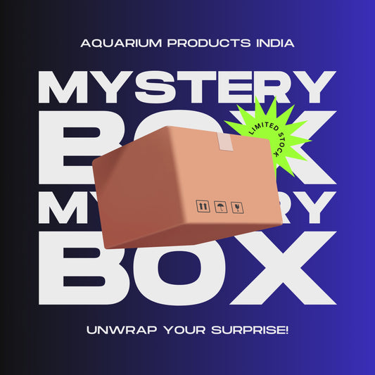 Bronze Mystery Box