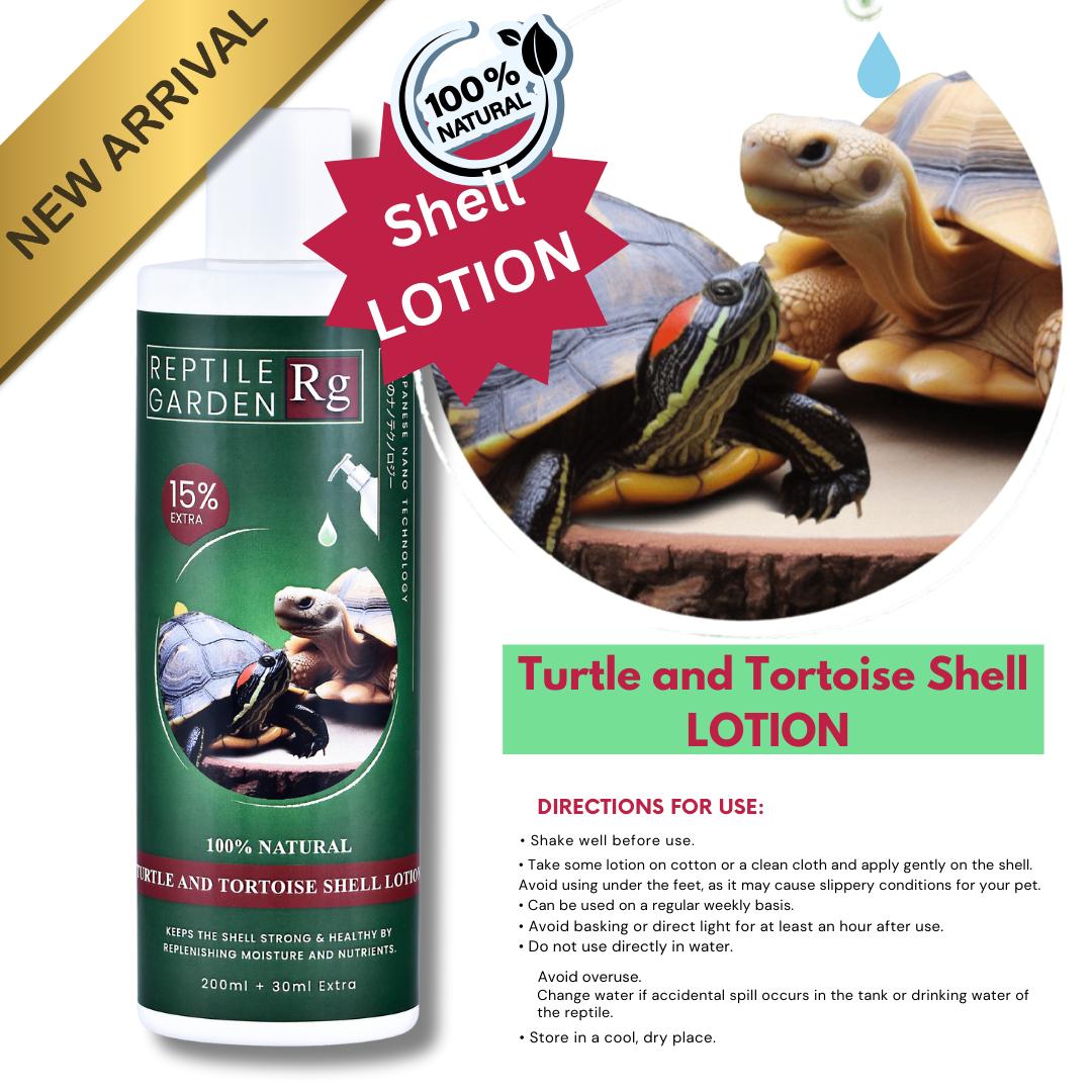 Turtle Starter Special kit Offer