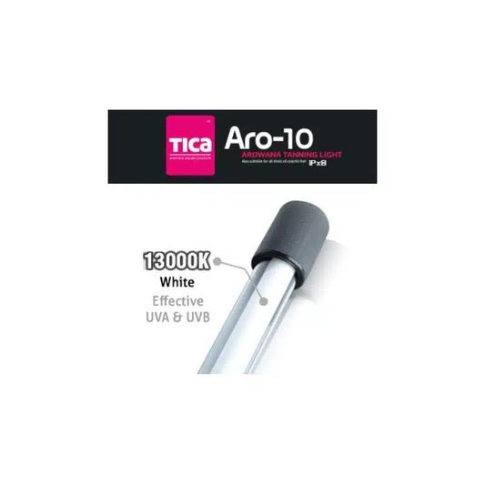 Tica Aro 10 Tanning White 13000K -142Cm