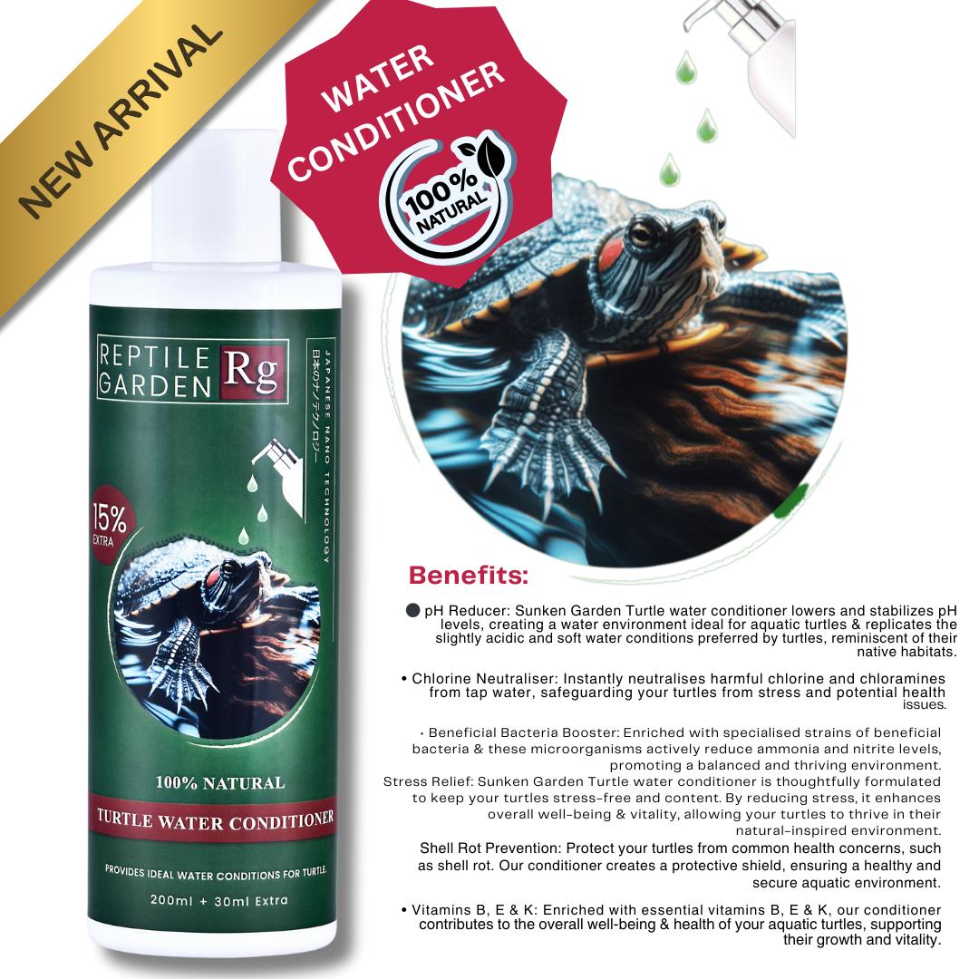 Turtle Starter Special kit Offer