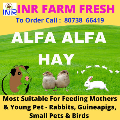 INR'S Farm Fresh Premium Alfa Alfa Hay ( Lucerne fodder plant )